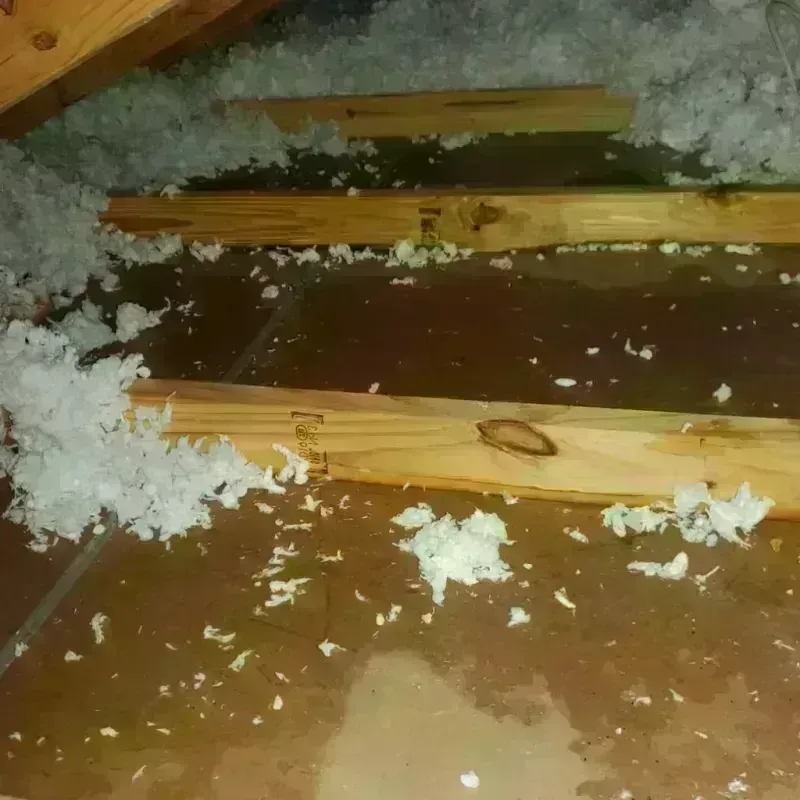 Attic Water Damage in Johnson, VT